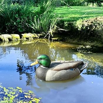 Amazon.co.jp: B Baosity 鴨の置物 ダック アヒル デコイ 害虫対策