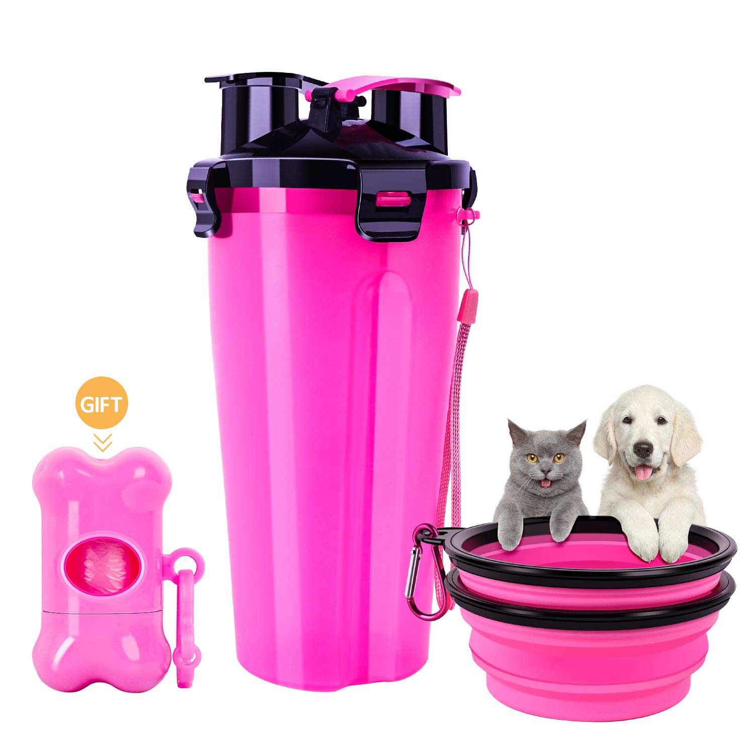 Why Did My Dog Poop In His Food Bowl