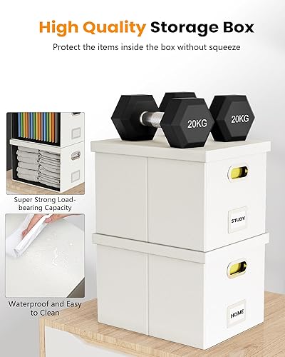 Vista 164 de Organizador de archivos en paquete de 2, caja archivadora portátil con tapa, compatible con carpetas tamaño carta/legal, organizador de documentos