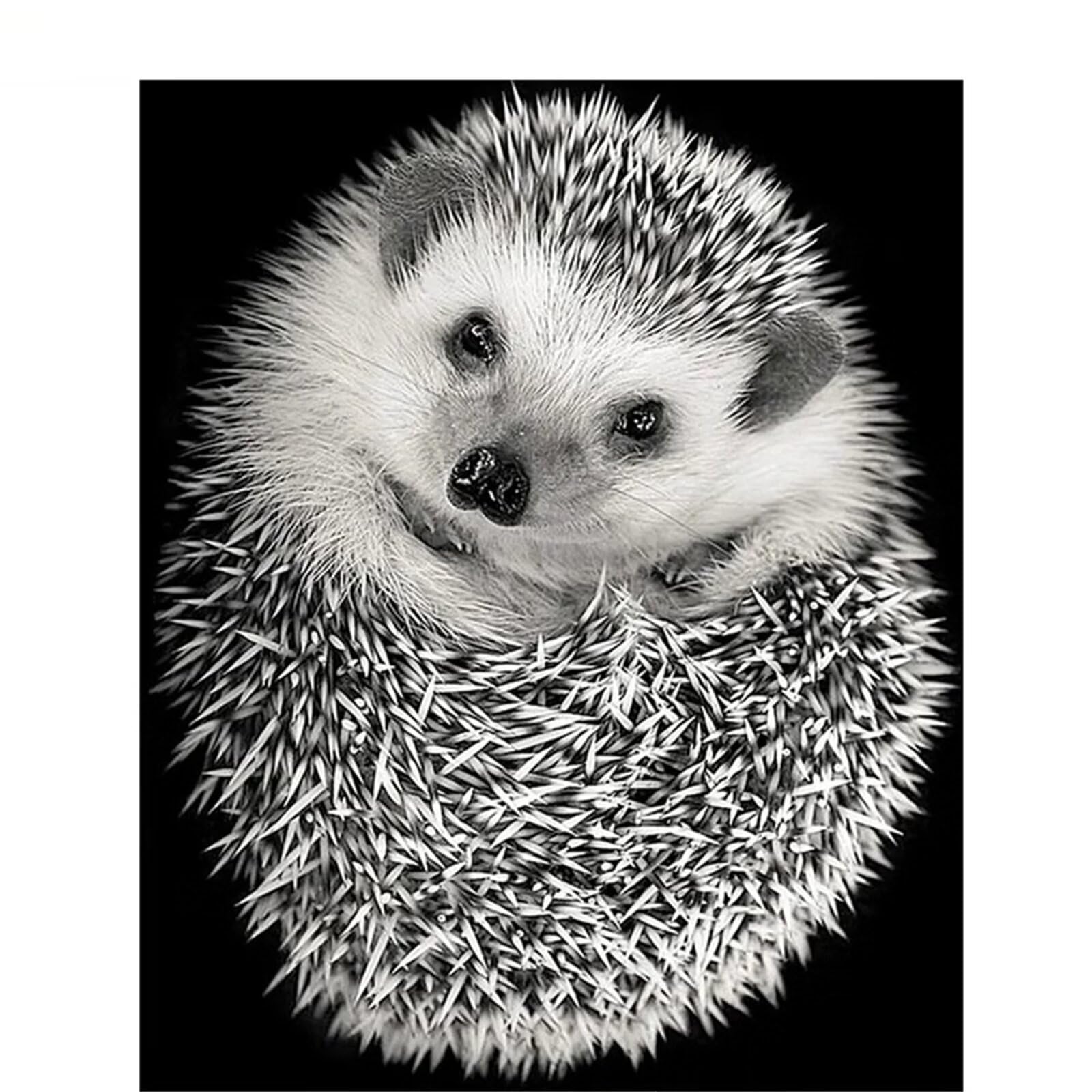 Hedgehog Diamond Painting Kits for Adults,5D Black White Animals Diamond Art Painting Kits,DIY Full Square Drill Rhinestone Cross Stitch Embroidery Painting Adults Kids Home Wall Decor Gifts,30x50cm