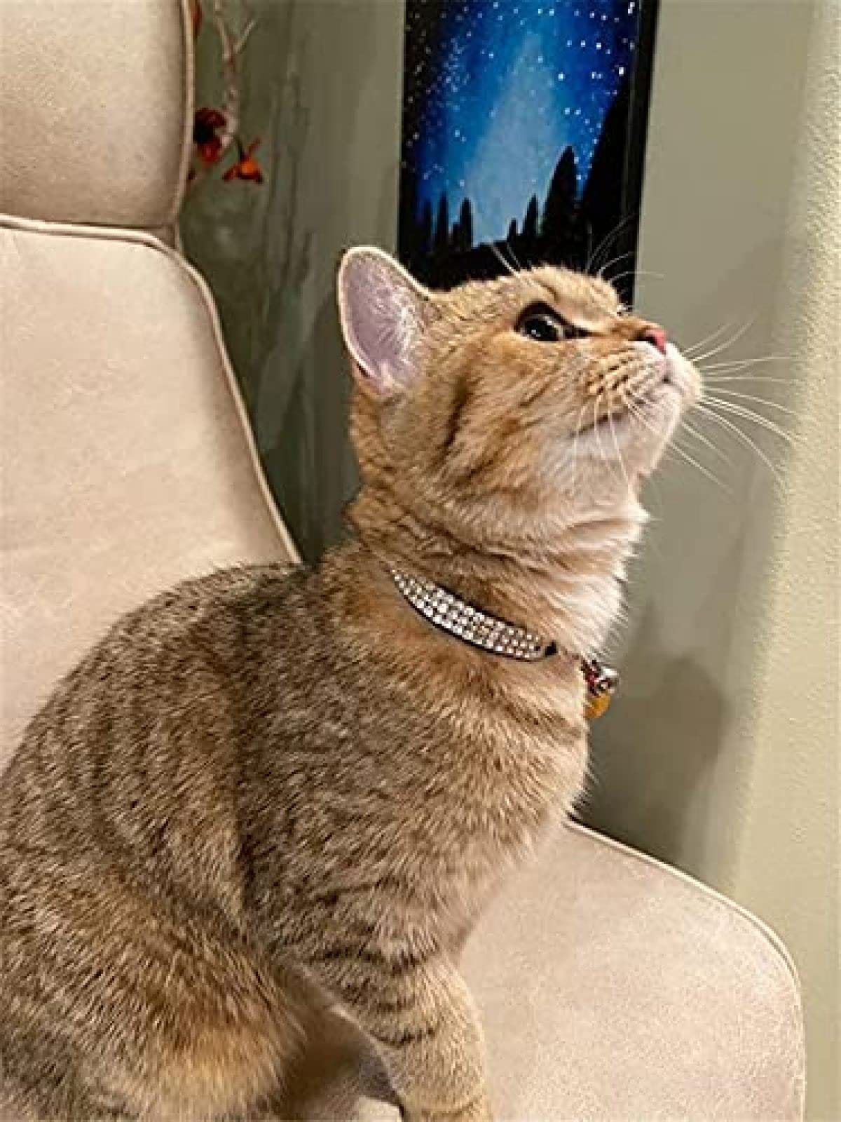Collar De Cuero PU con Diamantes De Imitación para Gatos, Cómodo, Ajustable, De Terciopelo Suave, Acolchado, para Cachorros Y Gatitos, para Perros Pequeños,Constructive23