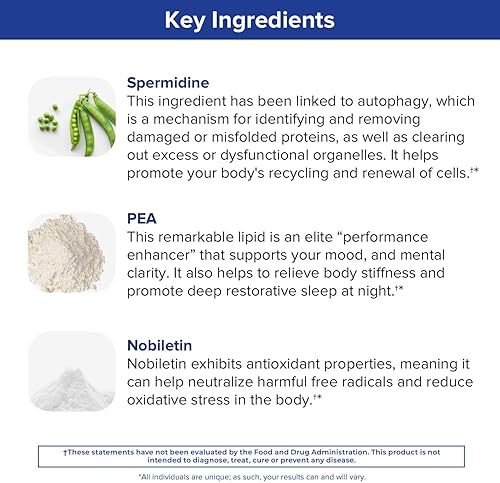 Miniatura 5 de Gundry MD® Suplemento Bio Sync para energía diurna, soporta enfoque y memoria†* - (30 porciones)