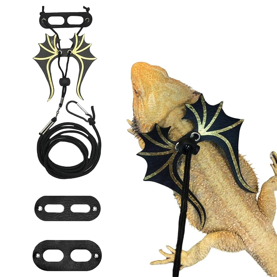 根付け　トカゲ  蜥蜴　爬虫類　竹 根付け トカゲ 蜥蜴 爬虫類 竹 71X3KM6JM4L._UF1000,1000_QL80_.jpg