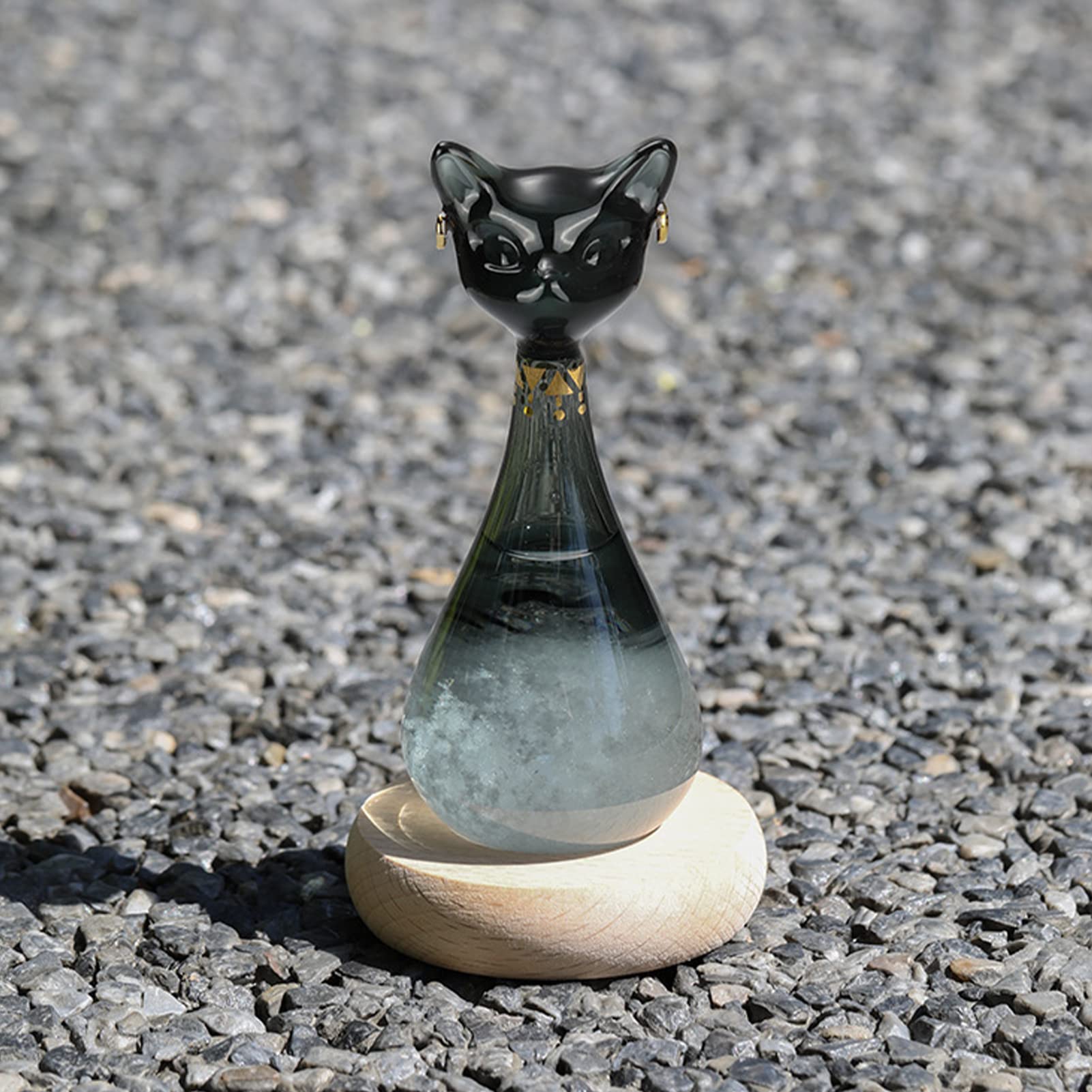 Stazione meteo tempesta, bottiglia previsioni meteo a forma di gatto, meteo barometro in vetro con base in legno, vetro tempesta, regalo originale per compleanni da donna (gatto nero)
