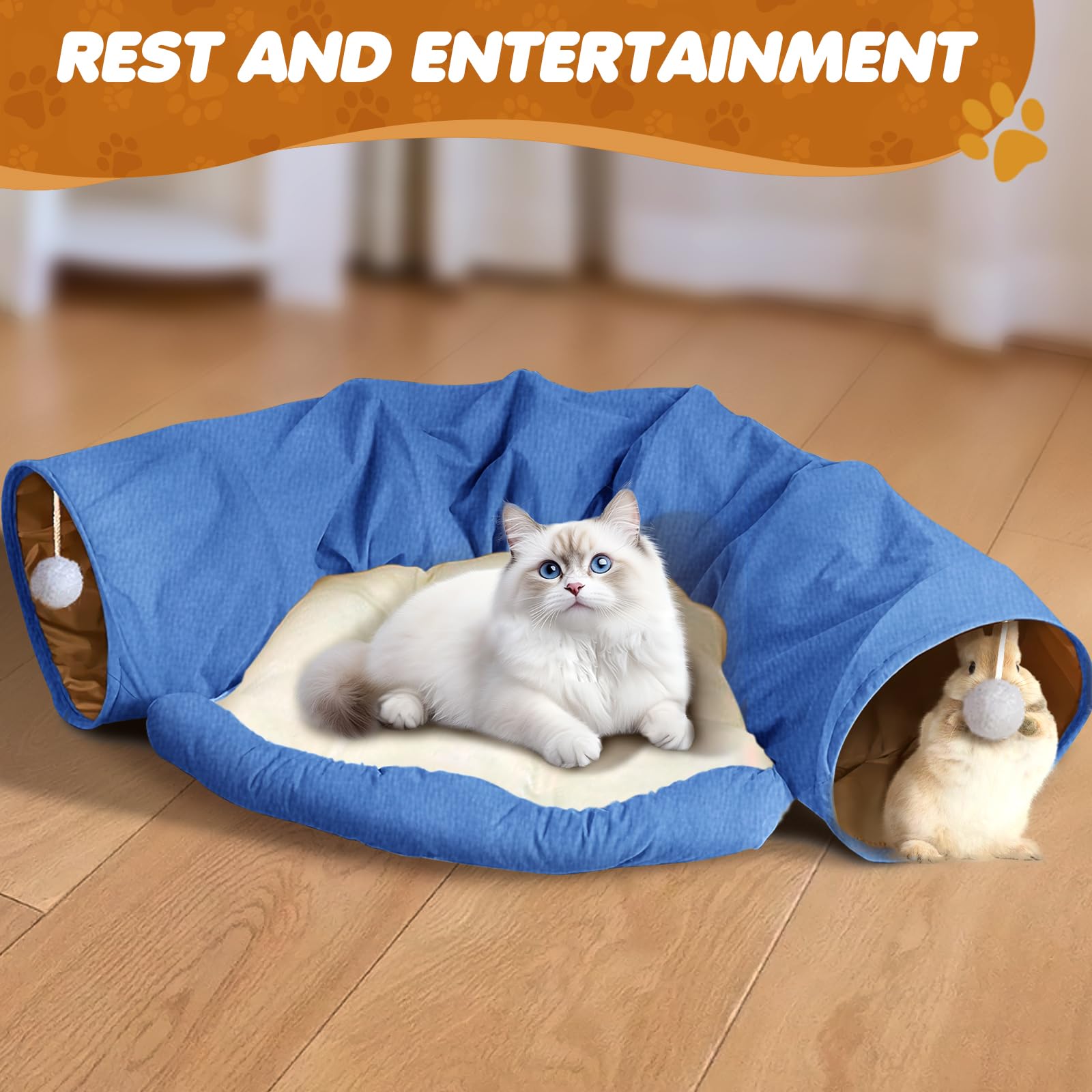 Spardar Tunnel pour Chat, Tunnel 2 en 1 pour Chat, Bleu