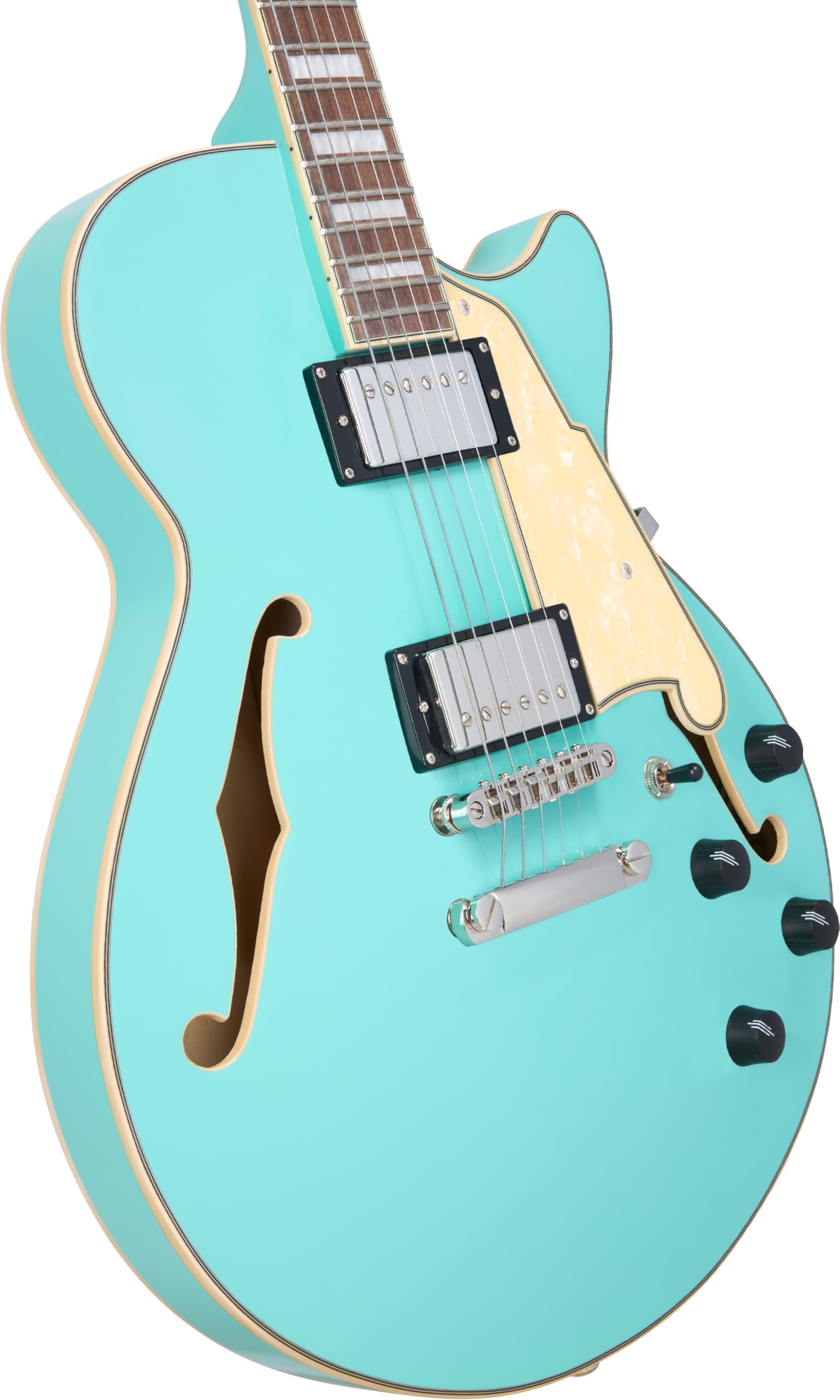 D'Angelico Premier Semi-Hollow 本体 ケース付き Amazon.com: D'Angelico Premier SS Semi-hollow Electric Guitar