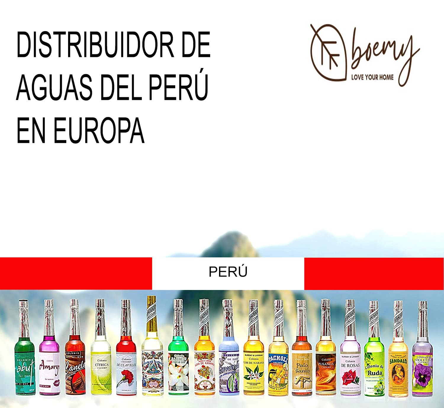 Boemy Pack de 12 Botellas Water Florida de 270 ml c/u - Agua de Energía y Espiritualidad