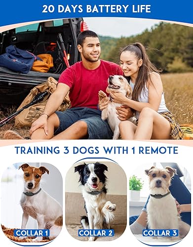 Miniatura 6 de PaiPaitek Collar vibratorio para perro sin golpes, collar de entrenamiento de perro de rango de 3300 pies con control remoto, collar eléctrico