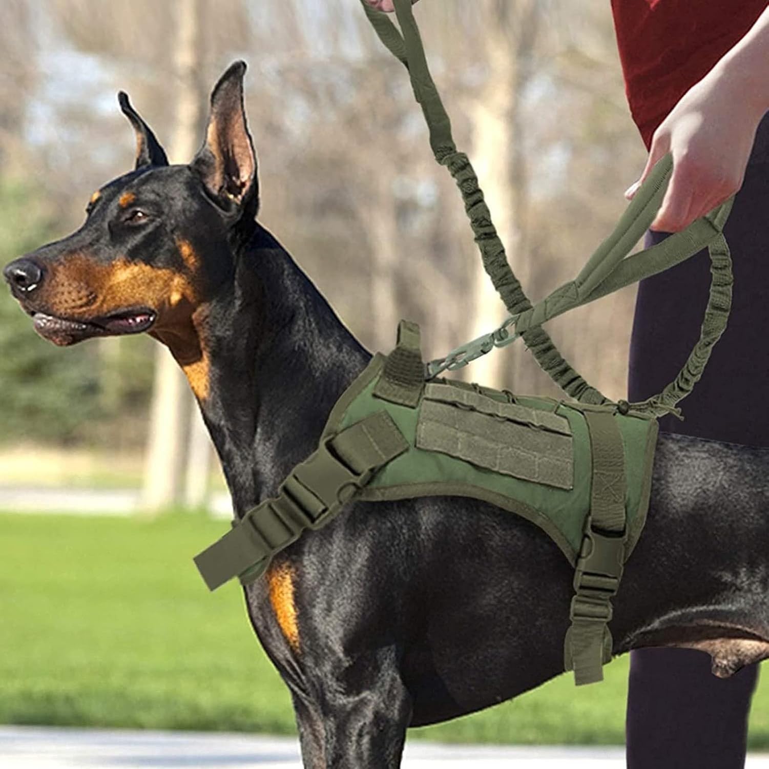 Chaleco táctico para Perro con Correa, arnés de adiestramiento para Paseo y Senderismo, Panel de Malla con Molle y Cierre de Gancho y Bucle, Talla M, co, Green, L