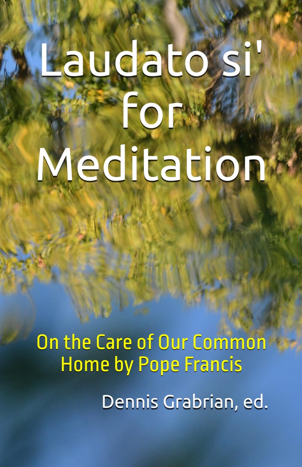 Laudato si' for Meditation: On the Care of Our Common Home by Pope Francis