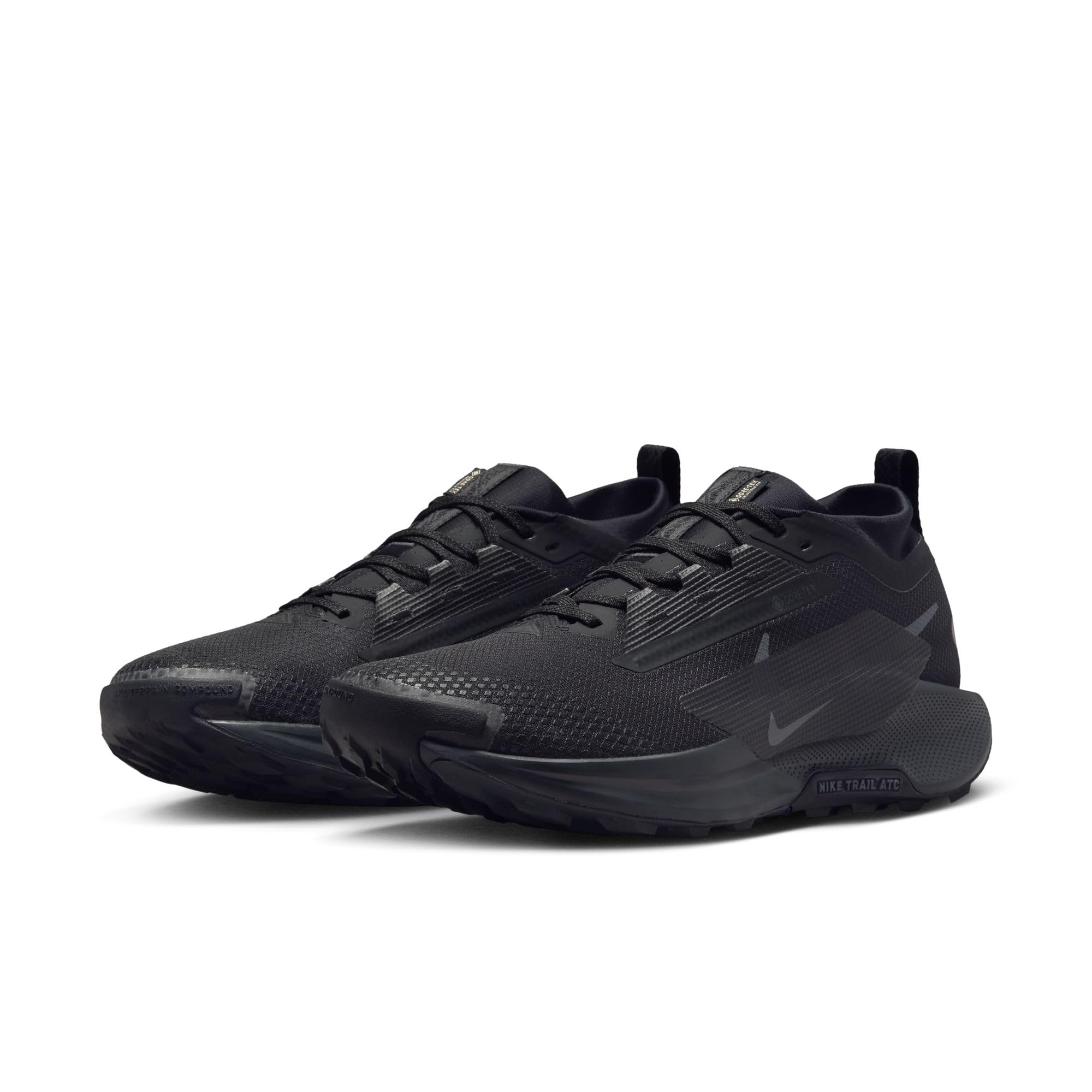 NIKE Mężczyźni Nike Pegasus Trail 5 Gore-texButy sportowe
