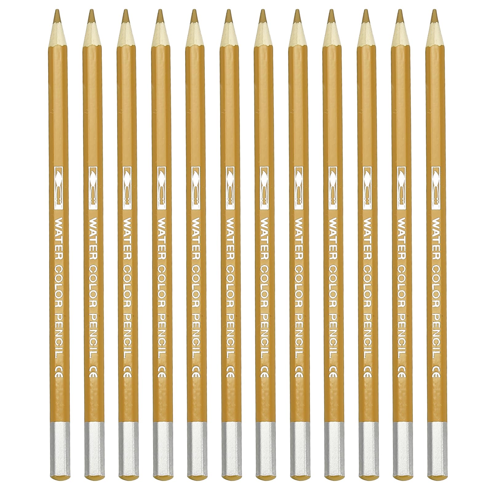 PATIKIL Watercolor Pencil, 12Pcs Water Soluble Pencils for Blending Coloring, Sketch Drawing, Painting, Bright Orange