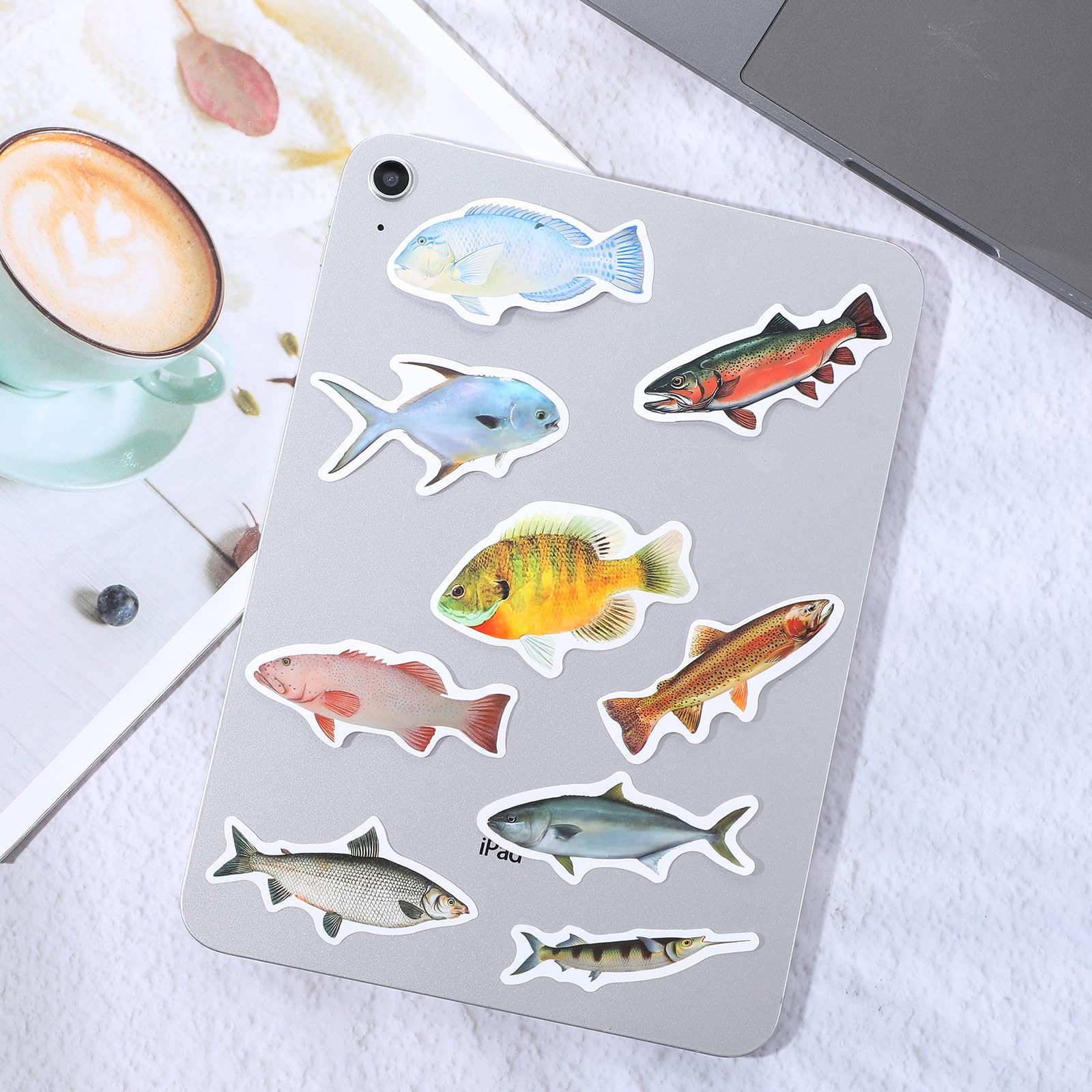 Djeco - Knutselset creëren met stickers - Zeedieren - Zou Bisou