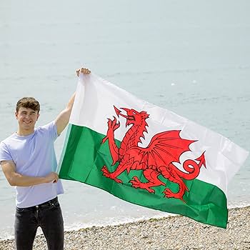 Amazon.co.jp: ウェールズ国旗3x5フィート ウェールズ国旗 400D 強化