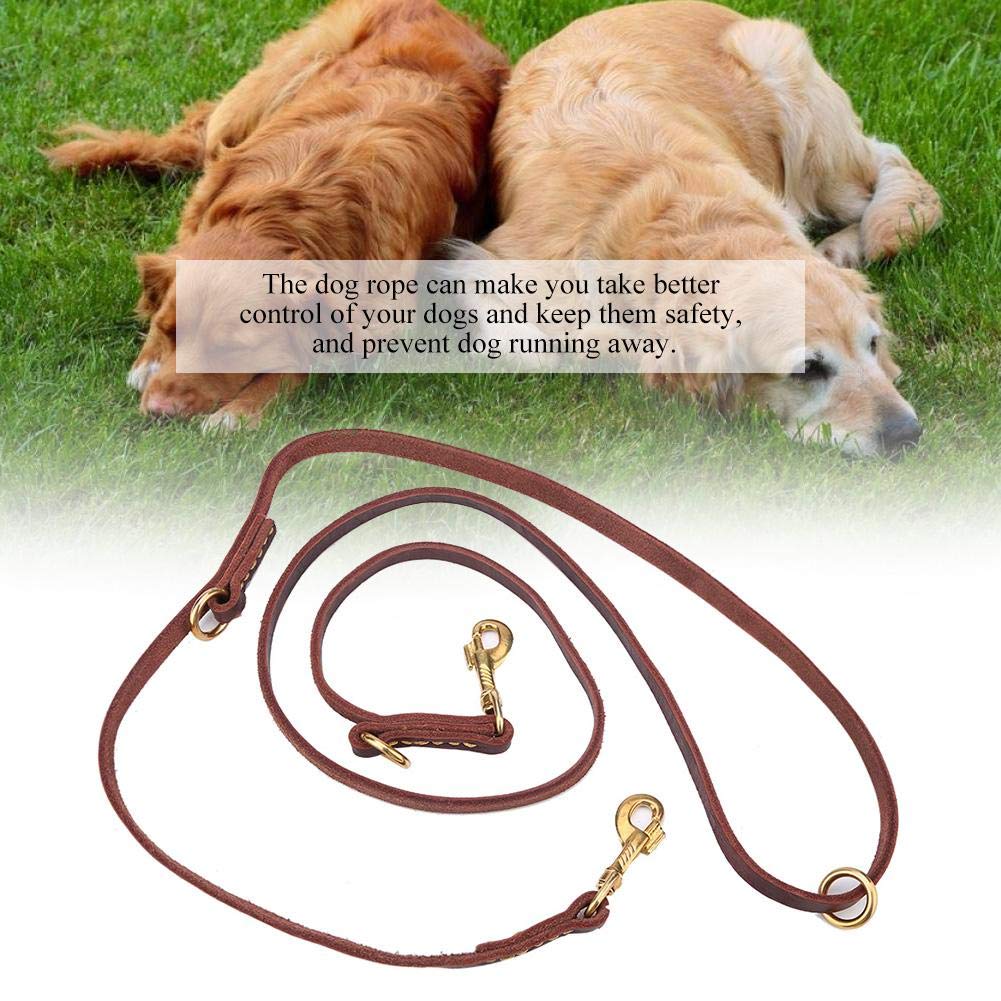 Set 2 Pezzi Guinzaglio per Cani, Doppio-End in Pelle Anti-Perso Imbracatura Corda Confortevole Morbido Durevole Cinturino di Trazione Con Doppio Ganci in Rame per Due Cani Forniture a Piedi