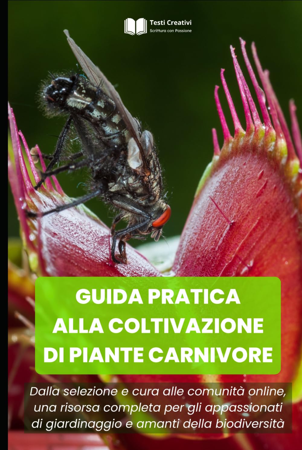 GUIDA PRATICA ALLA COLTIVAZIONE DI PIANTE CARNIVORE: Dalla selezione e cura alle comunità online, una risorsa completa per gli appassionati di ... Botanica e Giardinaggio Pratico)