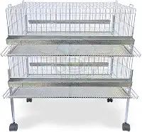 Kit 2 Gaiola Codorna Gigante Postura Viveiro Bandeja 40 Aves Poedeira Bateria (COM BASE)