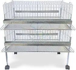 Kit 2 Gaiola Codorna Gigante Postura Viveiro Bandeja 40 Aves Poedeira Bateria (COM BASE)