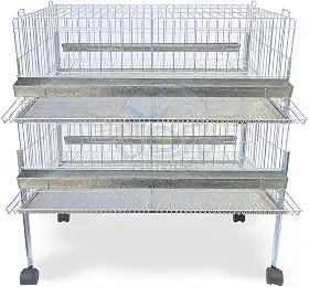 Kit 2 Gaiola Codorna Gigante Postura Viveiro Bandeja 40 Aves Poedeira Bateria (COM BASE)