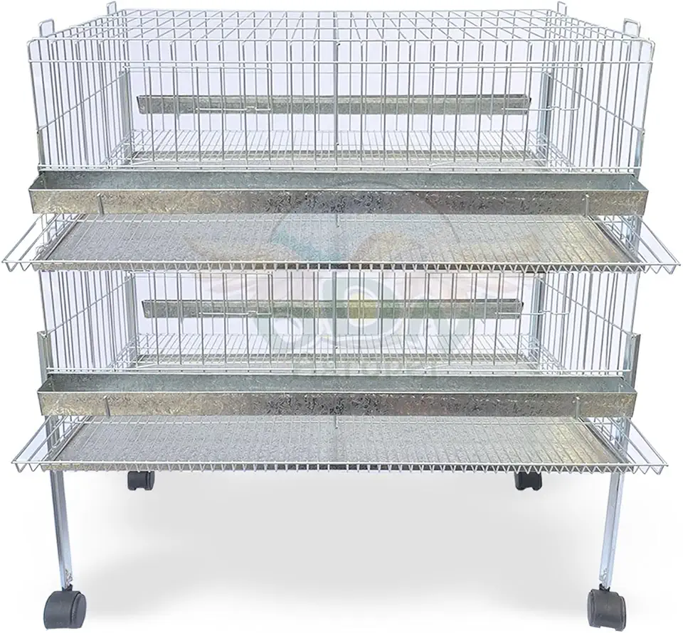 Kit 2 Gaiola Codorna Gigante Postura Viveiro Bandeja 40 Aves Poedeira Bateria (COM BASE)