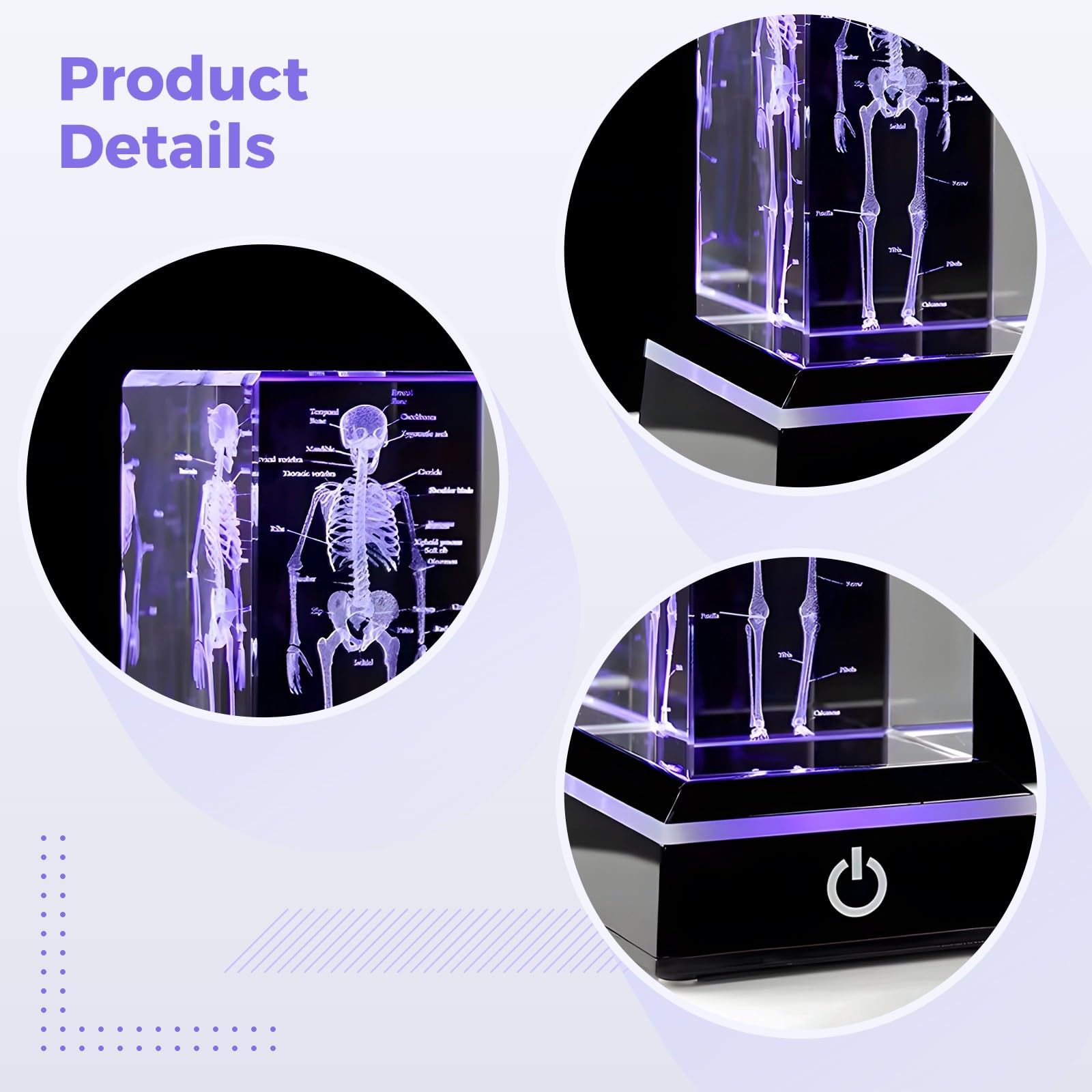 Esqueleto de cristal 3D con luz LED, modelo de anatomía humana, figura de esqueleto de cristal, ideal para graduados de ciencia y medicina