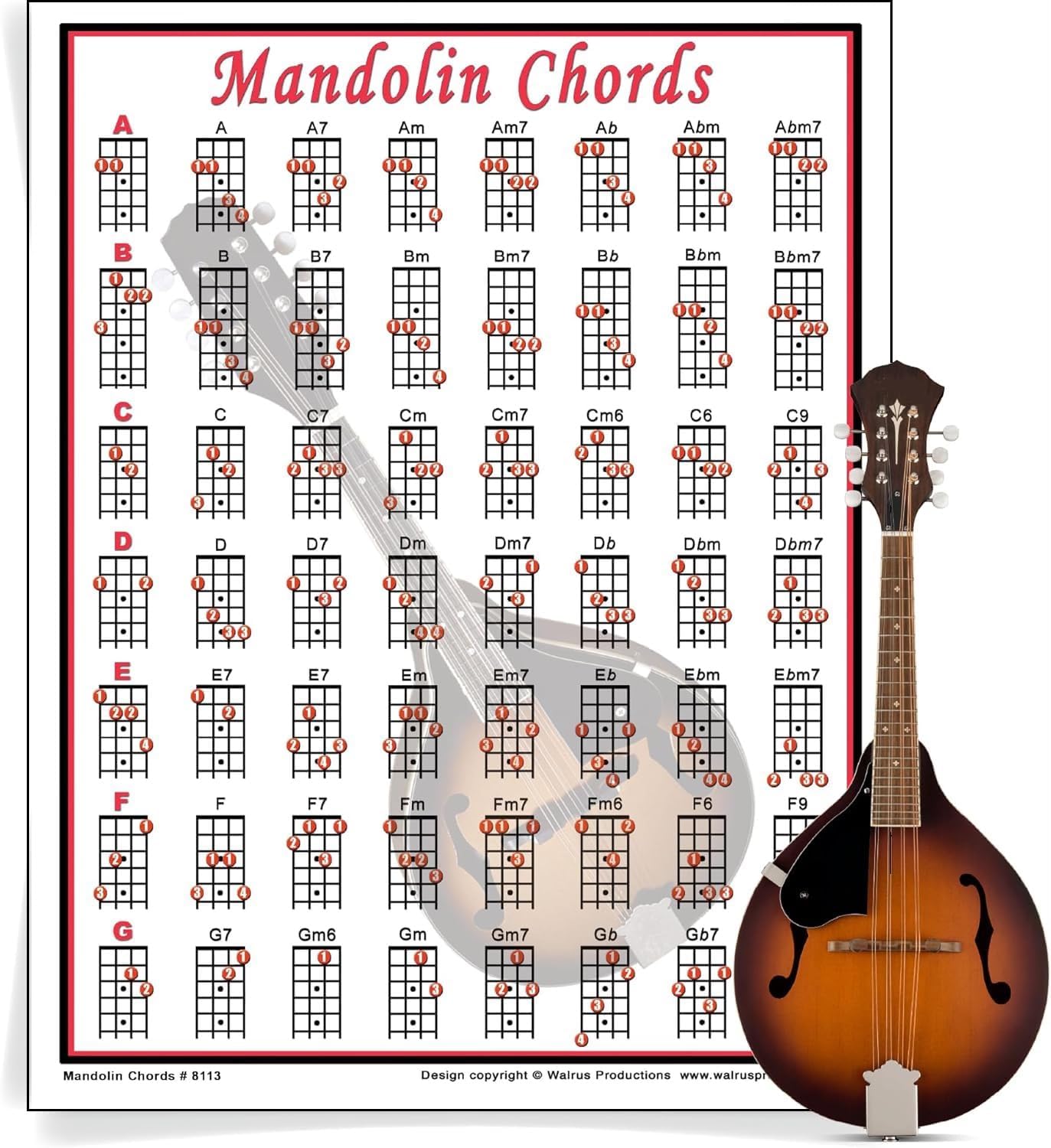 Mini Mandolin Chord Chart Poster - Laminated Mandolin Instrument Chart for Beginners and Musicians - Music Theory Poster with 56 Chords - Mandolin Accessories - 8.5" x 11" - Walrus Productions
