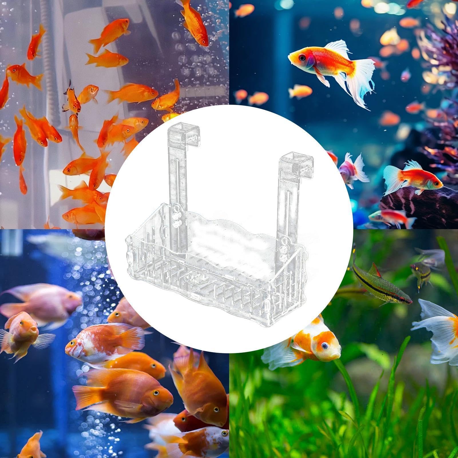 Supporto Per Piante Acquario In Acrilico Trasparente - Con Ventosa, Per Coltivazione Piante Acquatiche, Gamberetti