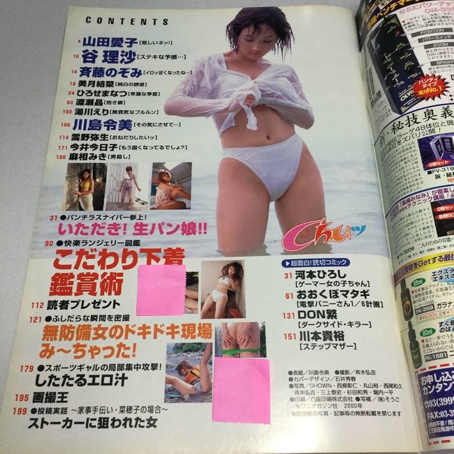 アクションカメラ パンチラ