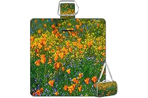 Sunlit Paddy Field Picnic Blankets