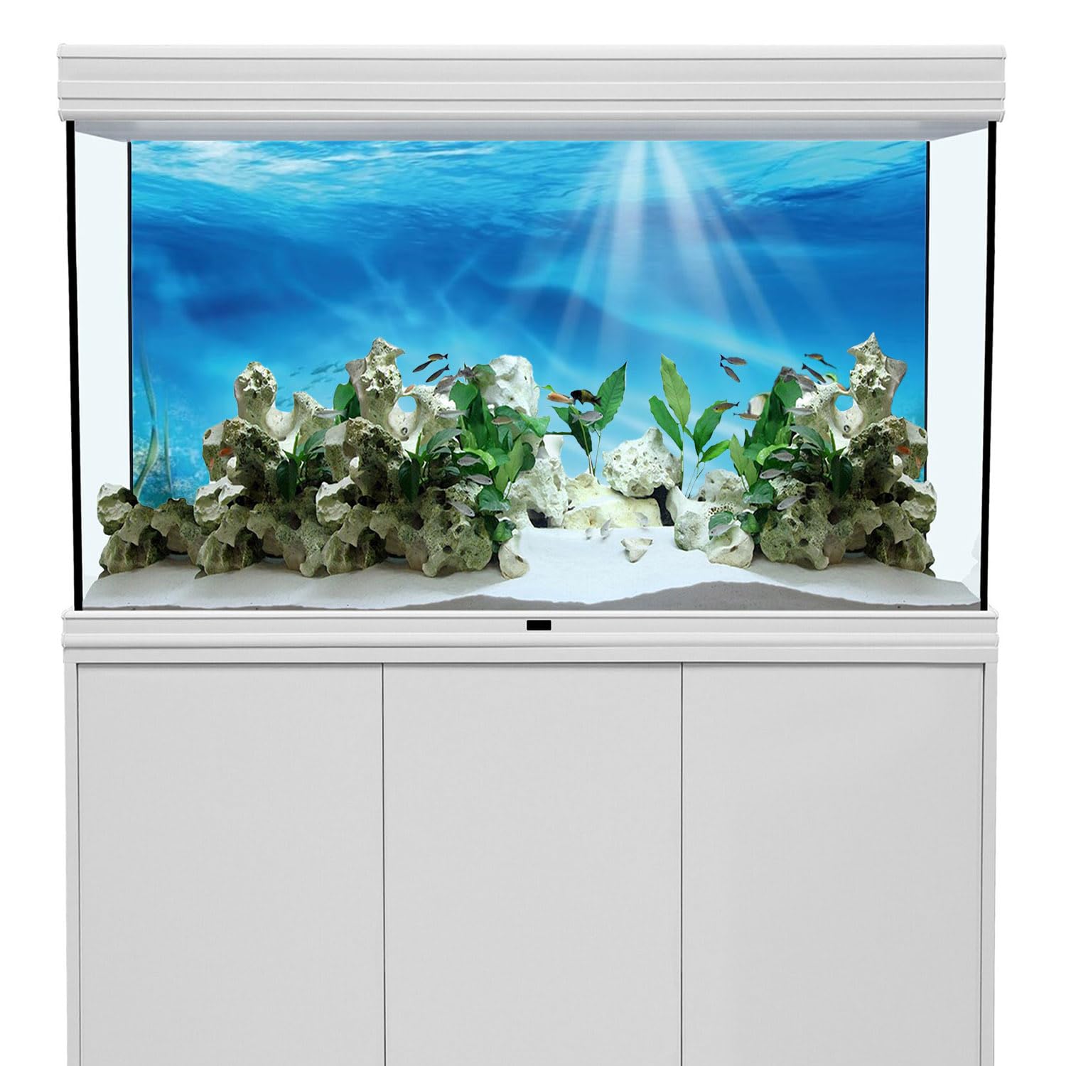 AWERT Undersea Theme Aquarium Background Colorful Coral Tropical Fish Sunshine Underwater World Fish Tank Background 30x18 inches Vinyl