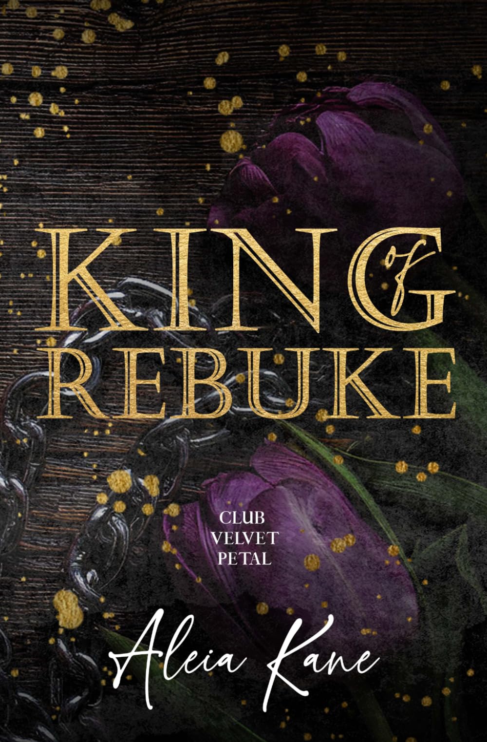 King of Rebuke: A Grumpy Sunshine Bodyguard Mafia Romance (Club Velvet Petal)