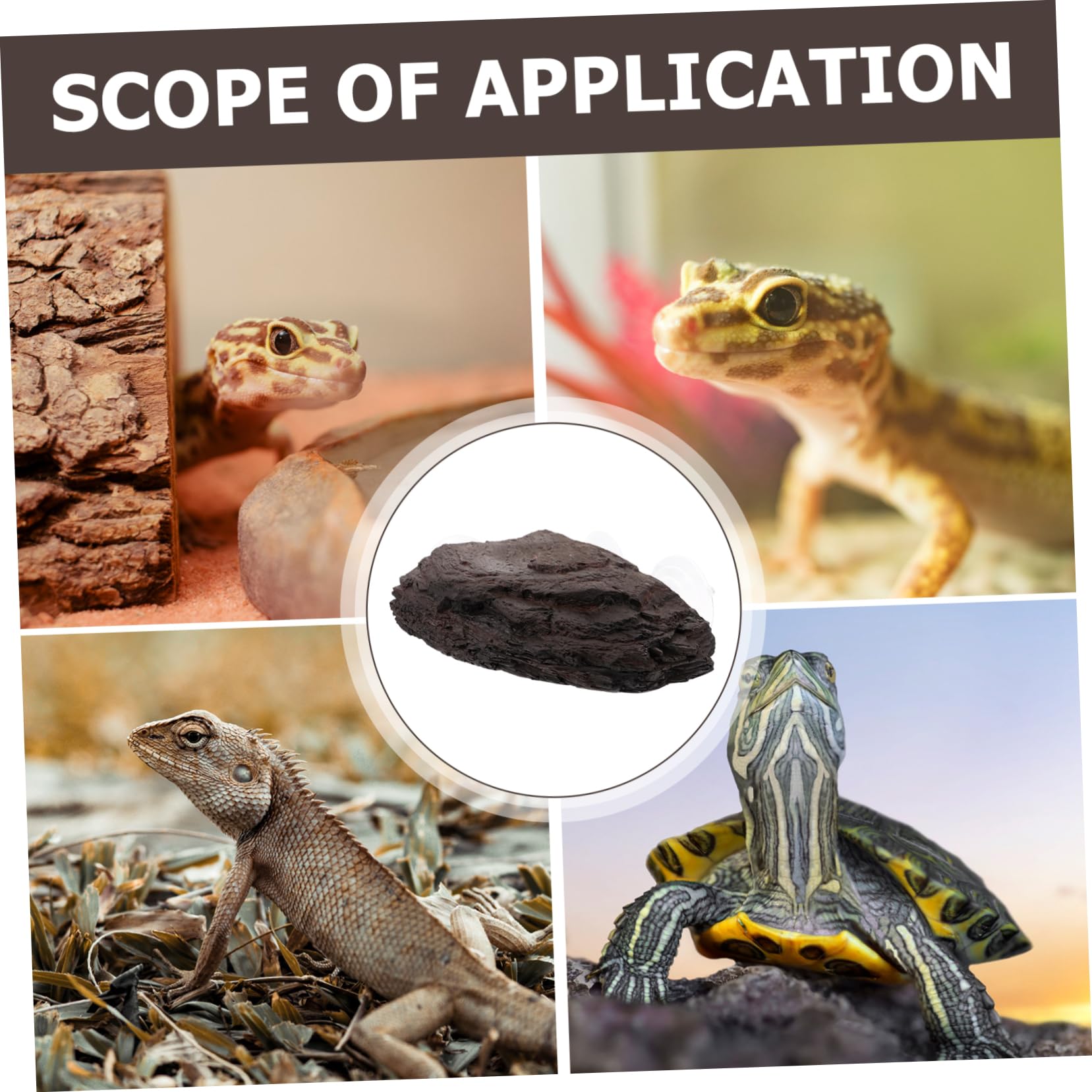 Plataforma Tortugas Acuario Plataforma Sol Reptiles Decoración Acuario Refugio Tortugas