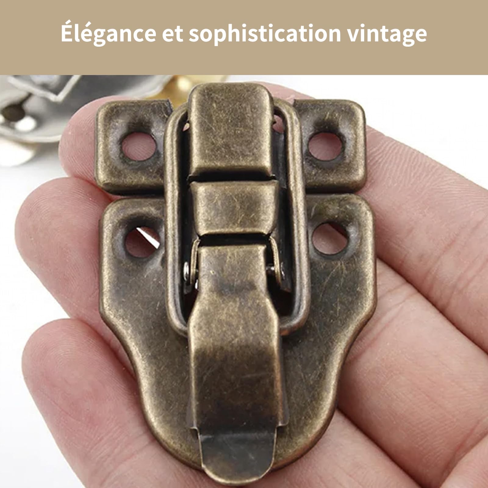 Hasp Latch Set | 2 stuks vintage stijl mini box sloten met schroeven voor sieradendoos, gereedschapskist | massief messing Swing Arm Hook Lock voor koffer, kast, ambachtelijke projecten