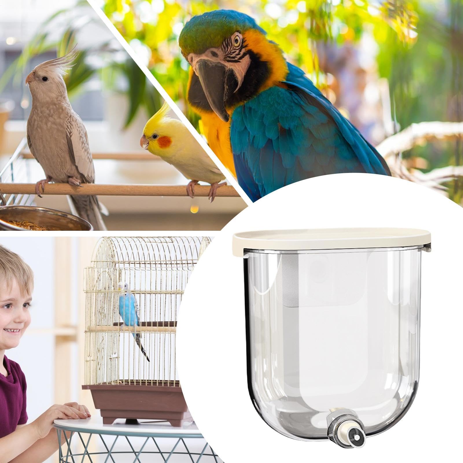 Abbeveratoio Per Uccelli | 330 Millilitri Senza Gocciolamento Bevitore Automatico Pappagalli - Alimentatore D'Acqua Per Uccelli,Per Canarini Uccellini Cocorite Inseparabili Calopsite