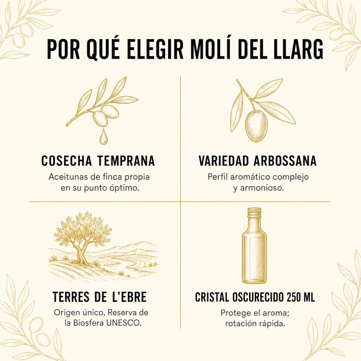 FORÉS | Aceite De Oliva Virgen Extra | Pack 12 Botellas Cristal Oscurecido 250Ml | Cosecha Temprana Variedad Arbossana Fincas Propias Extracción Frío | Frutado Verde