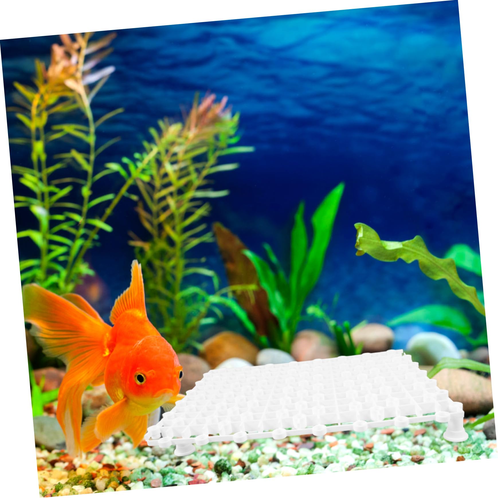 COLLBATH 4stücke Teiliges Fisch Tank Bodenfilterplatte Wiederverwendbare Aquarium-trennplatten Mit Atmungsaktivem Design Für Effektive Wasserzirkulation Und Dekoration