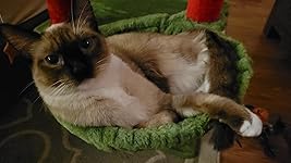 Review Image by Hali Hali