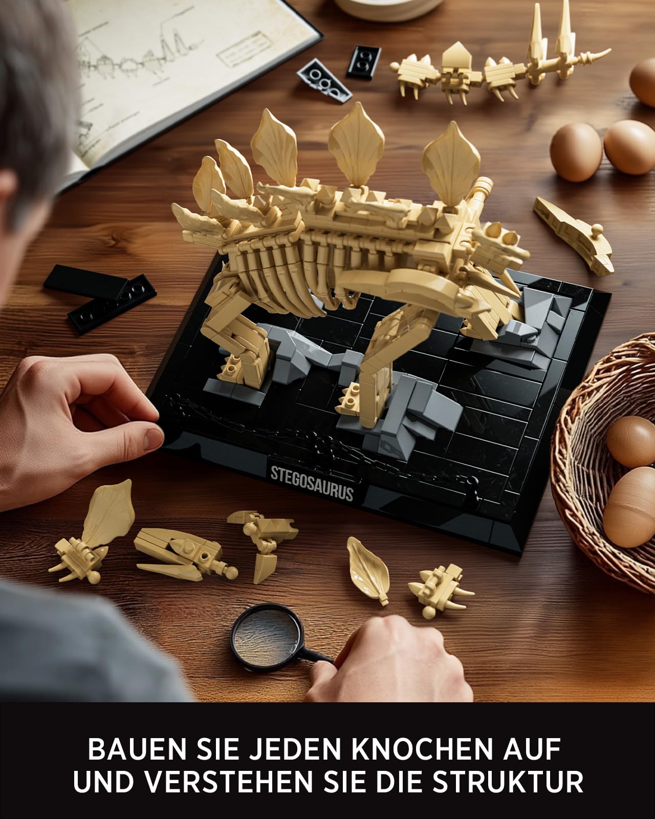 Nifeliz Stegosaurus Rex Fossilien Klemmbausteine, Skelett Dinosaurier Tierdekoration Modellbausatz Artikel und Dekoration, eine ideale Geschenkidee für Erwachsene (665 Teile, NF10353) | Dinosaurier-Skelett-Modell mit Display-Basis für Erwachsene, ideales
