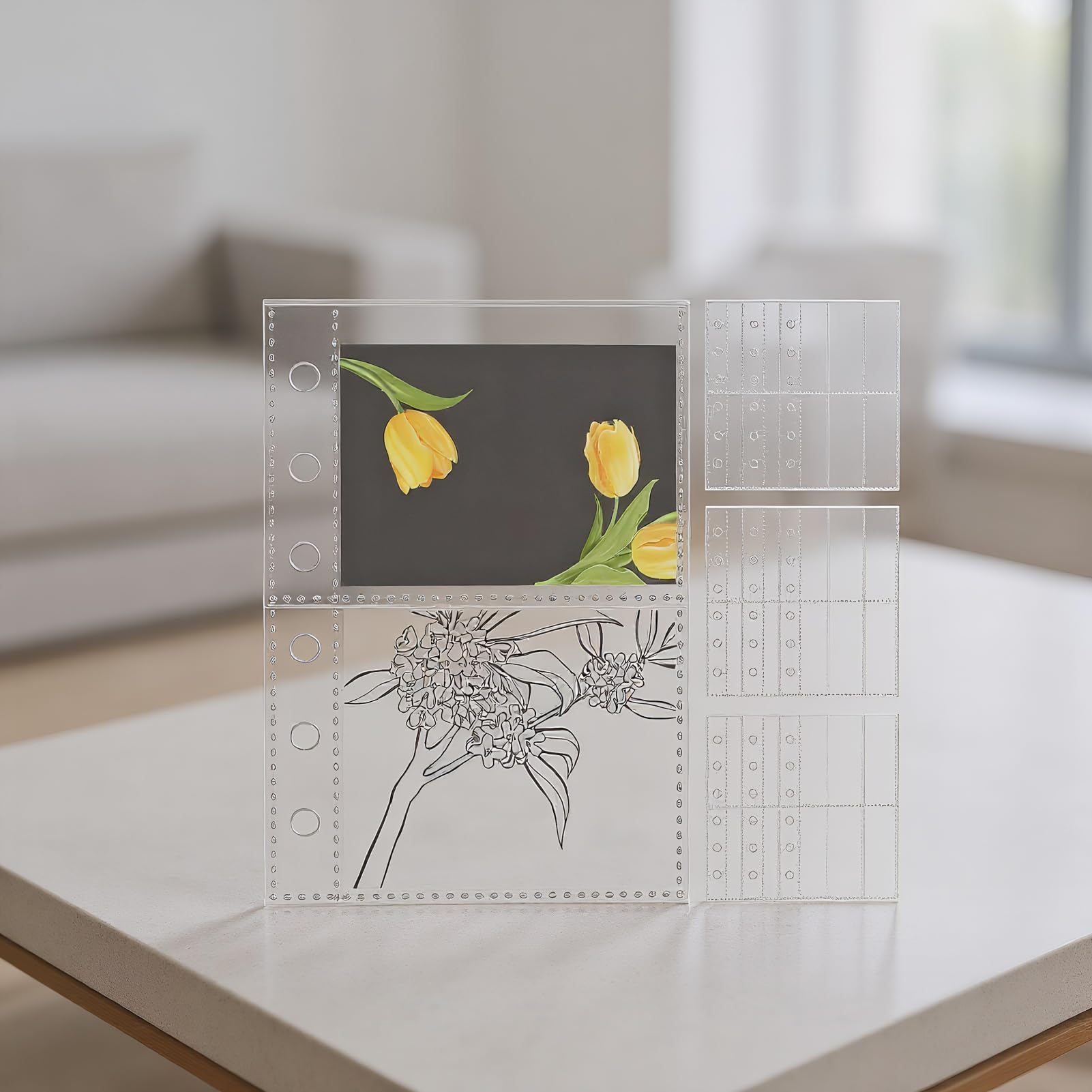 Amazon.co.jp: 10パック A 7バインダーインサートポケット システム