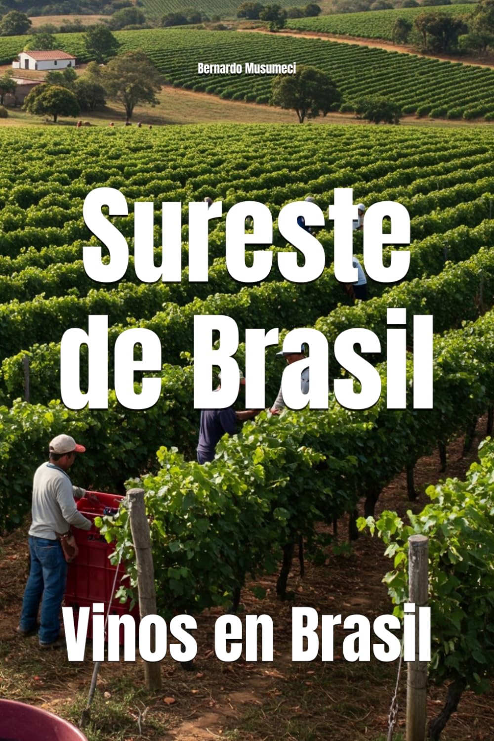 Sureste de Brasil: Vinos en Brasil (Wines of the World: Brazil)