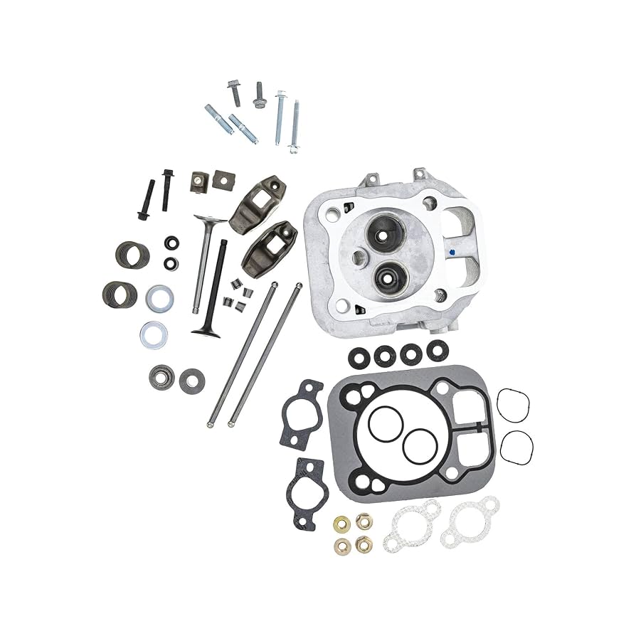 Amazon.com: CAALO 24-818-02-S #2 Cylinder Head Complete Kit