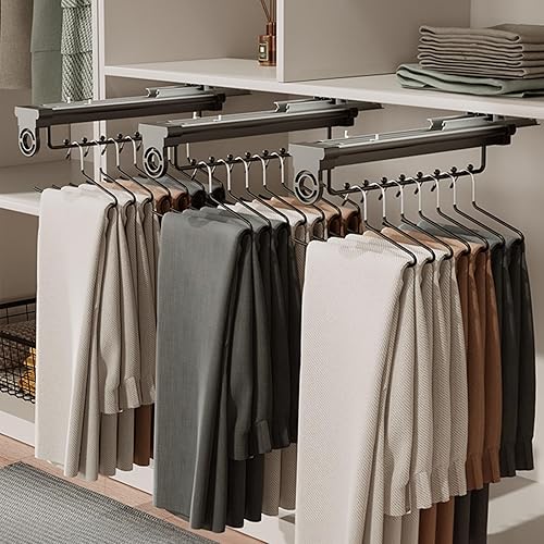 Miniatura 2 de Pull Out Rod for Wardrobe Organizer, Thickened aluminum alloy, with Pull Handle Closet Pull Out Clothes Hanger, Double row damping slide rail,