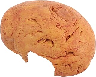 NUSITOU Réptil Buraco Esconderijo Recipiente De Vidro Goblincore Decoração Do Quarto Peixe Decoração Do Aquário Réptil Casa Abrigo Lagarto Esconderijo Caverna Esconderijo De Peixes De