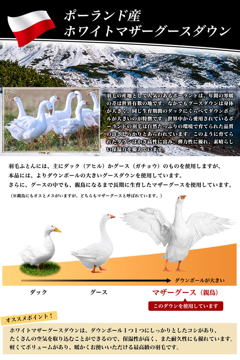 羽毛布団 クイーン ポーランド産ホワイトマザーグース 日本製 sk6492