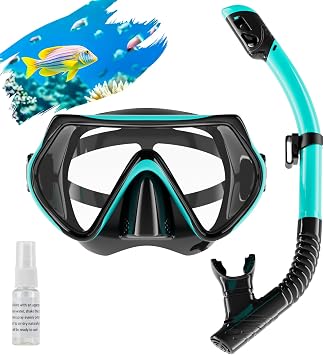 Snorkel Set Adults, Scuba Snorkelling Packages with 180  Panoramic Anti-Fog Tempered Glass Snorkel Mask, Leak Proof Dry Top Snorkel for Snorkeling Diving Swimming with Anti Fog Spray