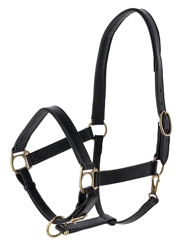 Covalliero Cabezada Eco, cabezada de Caballo, Cuero Genuino, Negro, Talla COB, Talla 2