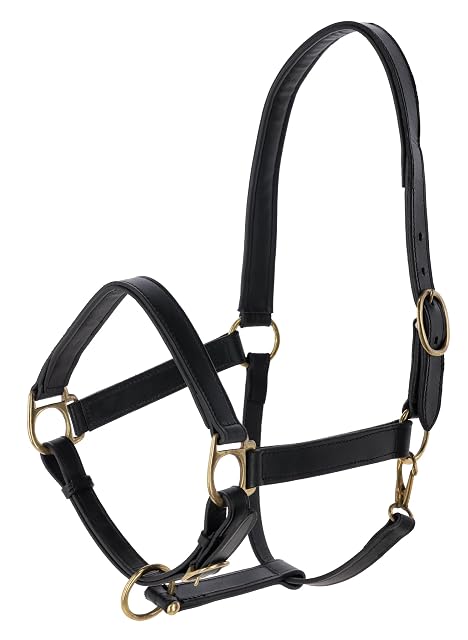 Covalliero Cabezada Eco, cabezada de Caballo, Cuero Genuino, Negro, Talla COB, Talla 2