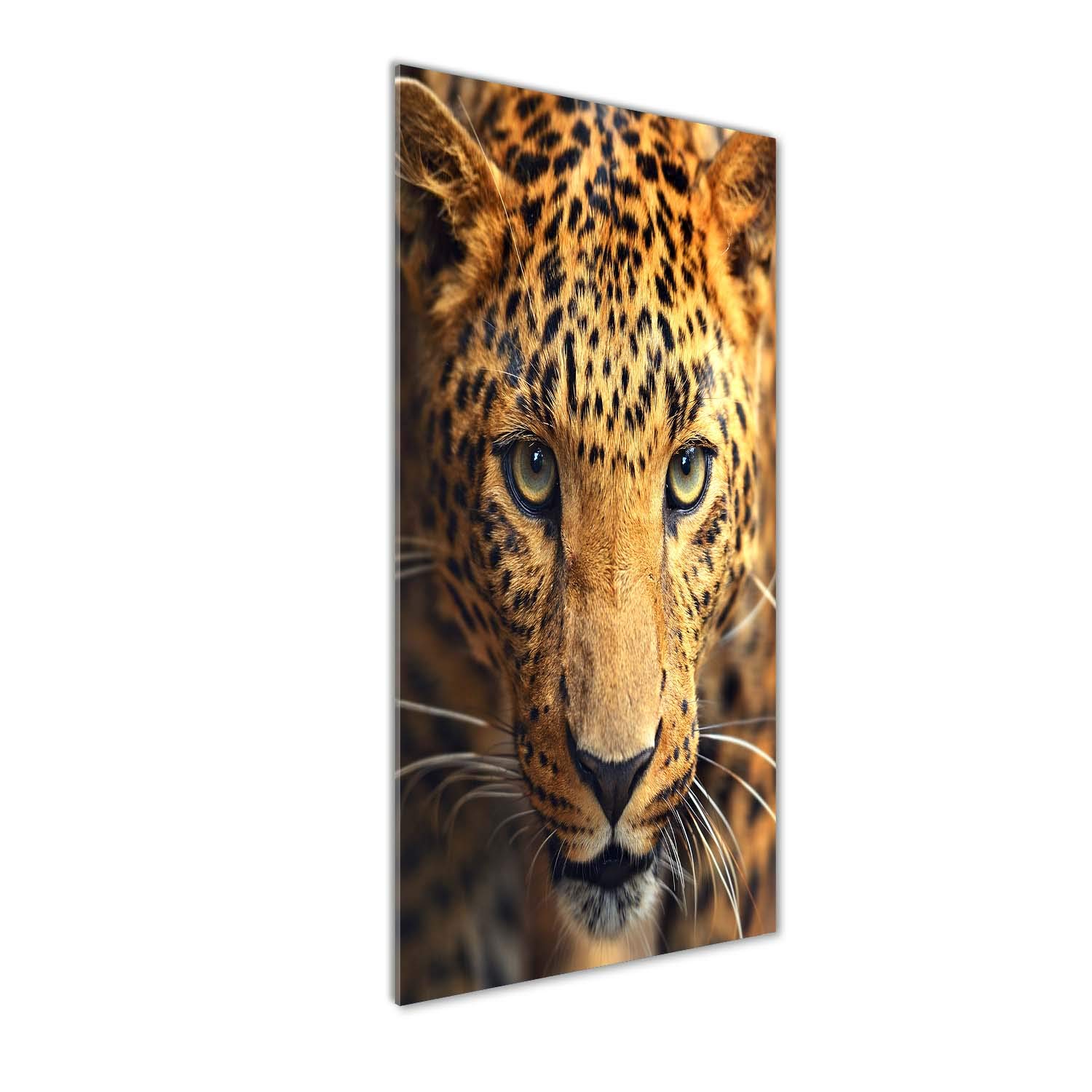 Impression sur verre acrylique 50x125 cm de léopard orange Tulup pour la déco murale de salon
