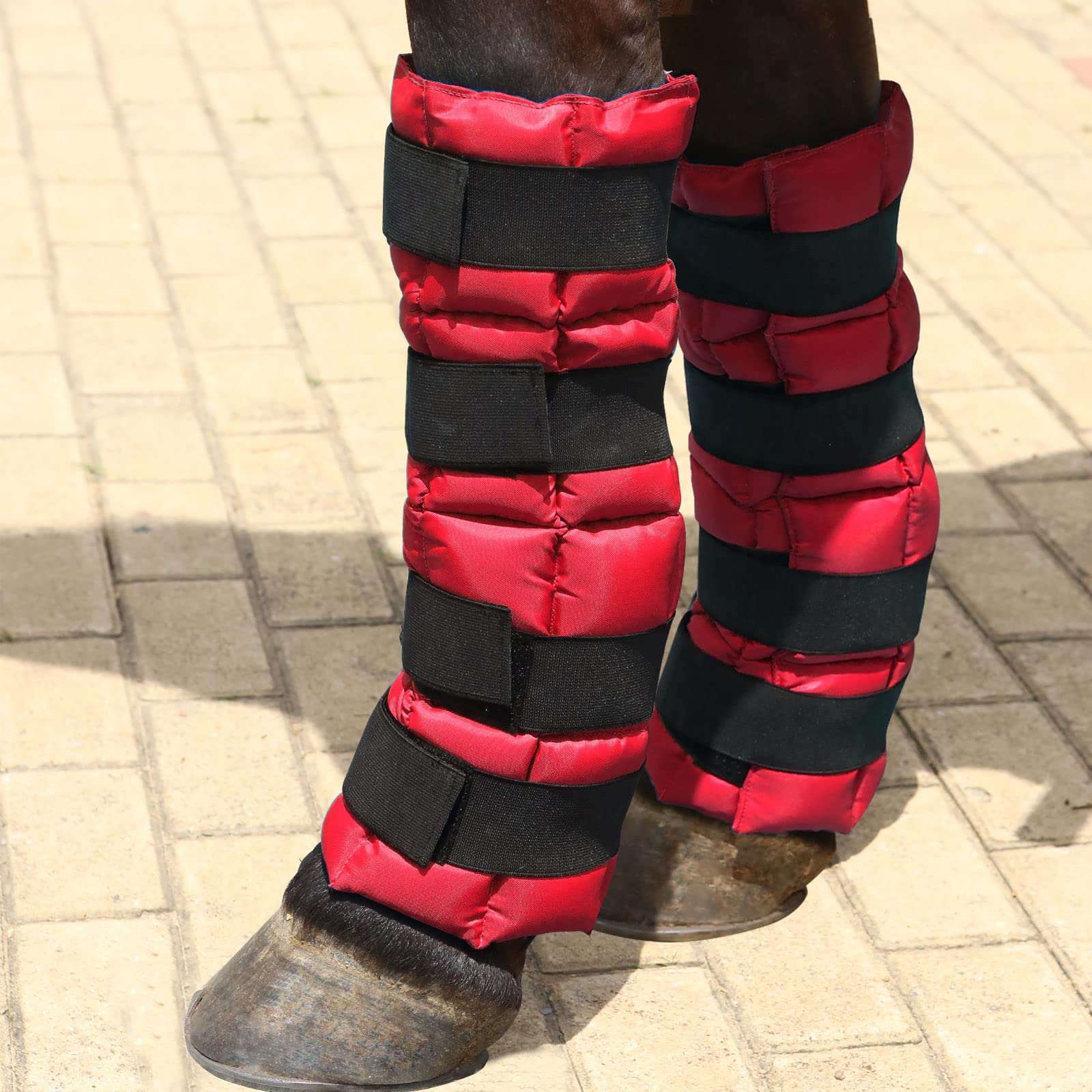 Harrison Howard Bota de hielo para caballo-rojo