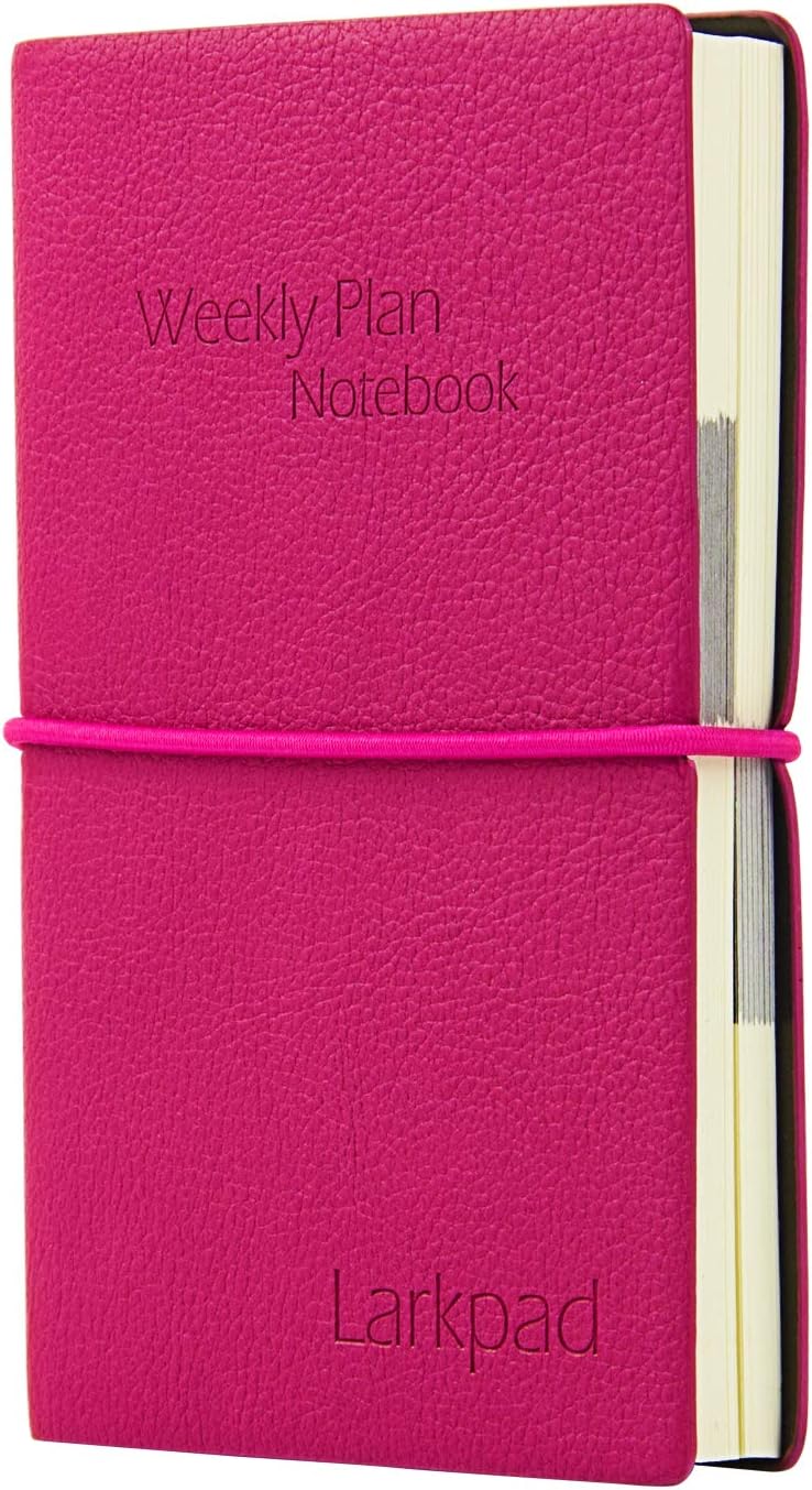 Larkpad Pocket Planner - Weekly & Monthly Planner,Jan 2019 - Dec 2019,Achieve Your Goals & Improve Productivity,Calendar and Notebook,Inner Pocket,3.5" x 5.5",Rosy Red